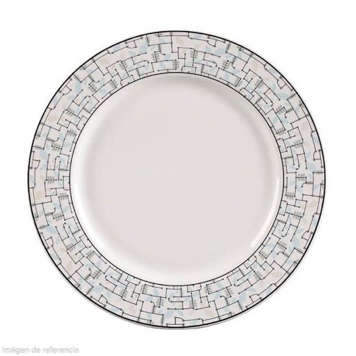 LARGE PLATE 10.5