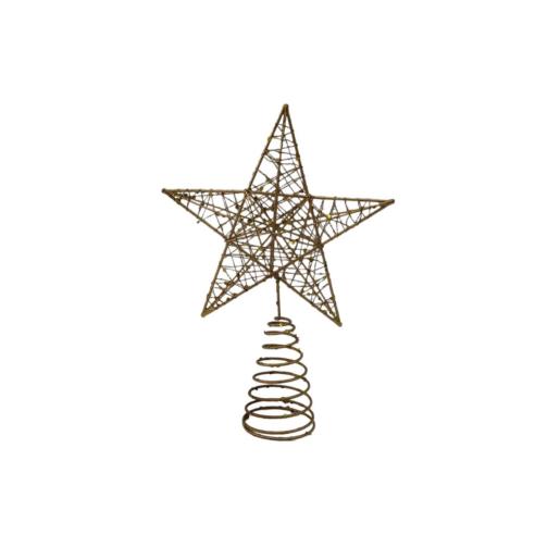 NAV. GOLDEN STAR 14*20 CM