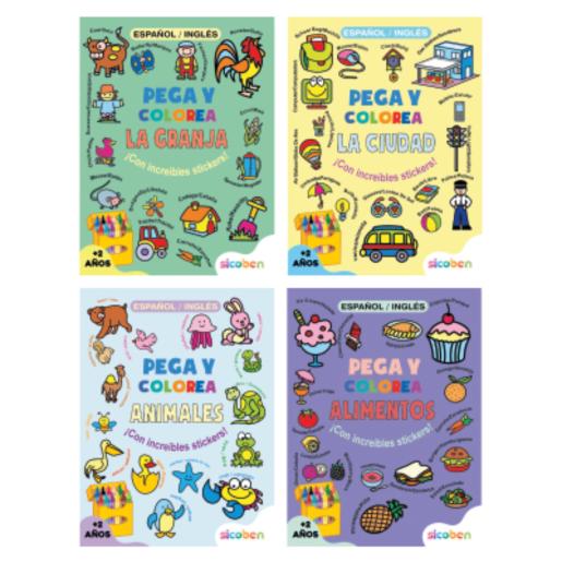 STICK AND COLOR BOOK DIS SURT 48 PGS