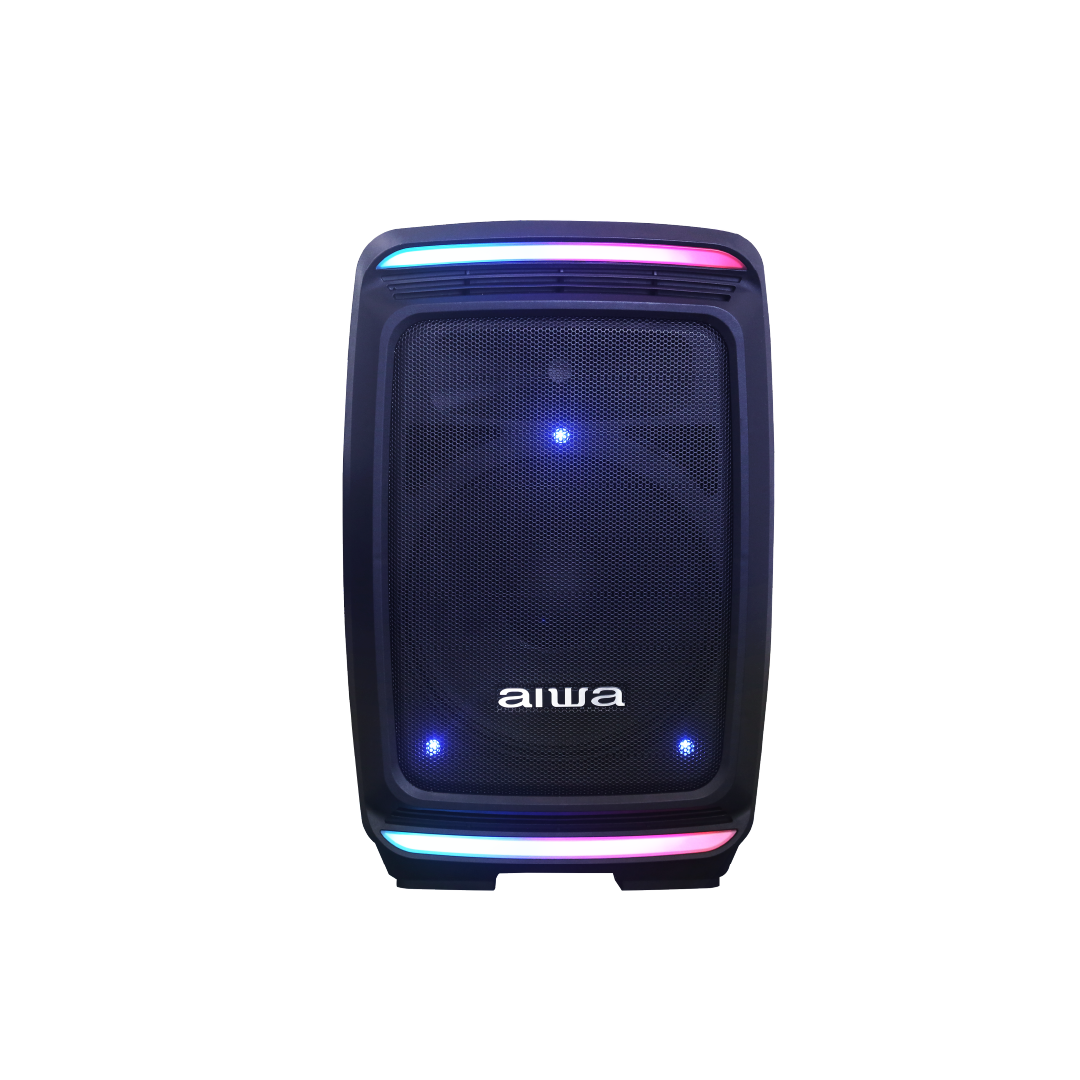 AUDIO SYSTEM 1000W STAND + MIC