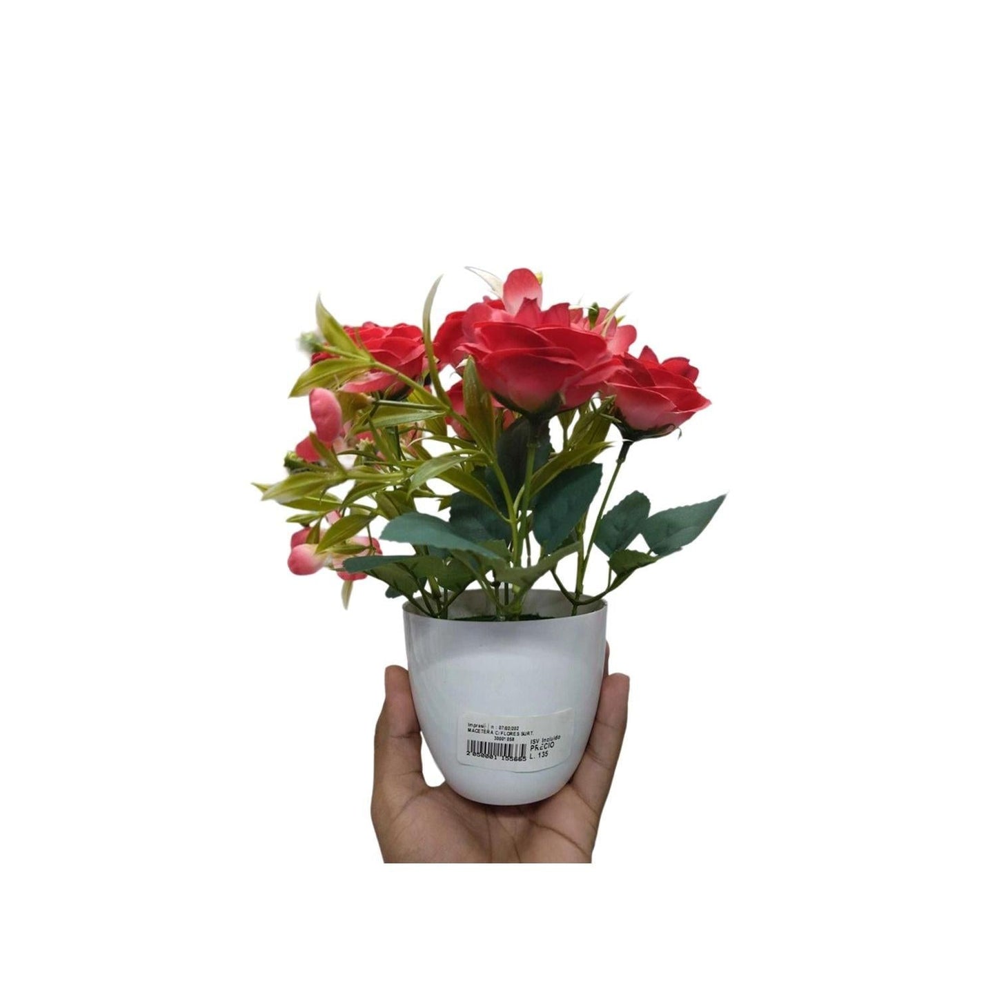 MACETERA C/ FLORES SURT.