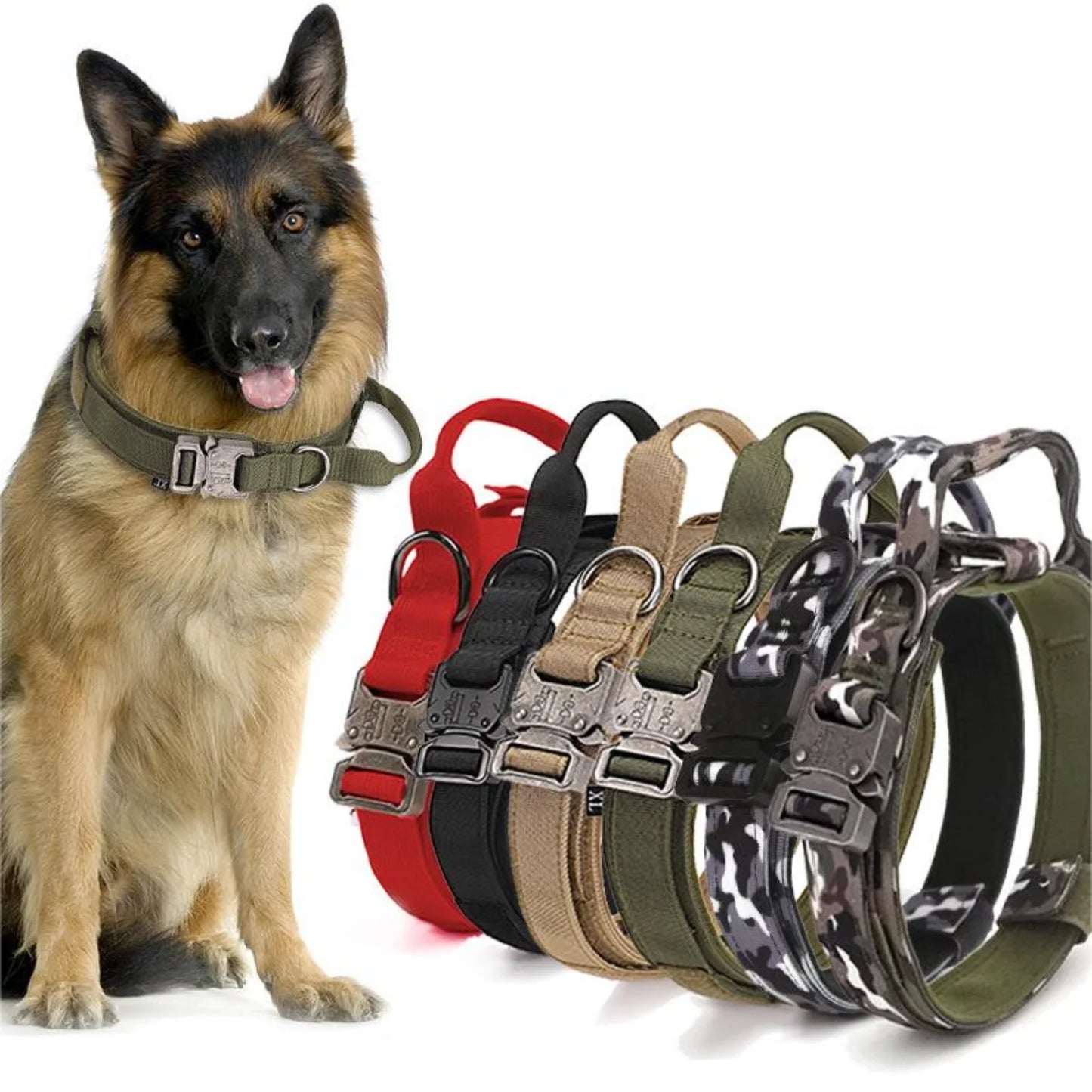 Set Collar + Correa para Mascota CW-12
