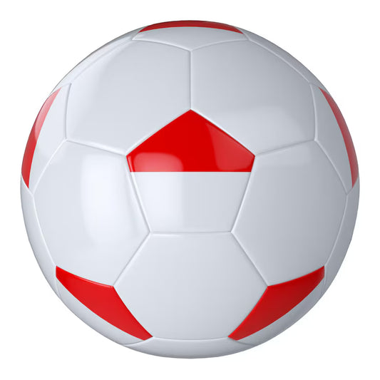 BALON DE FUTBOL N5 CLASICO RJ
