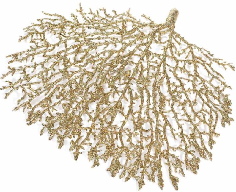 NAV. RAMA 62CM ORO T/COLA PAVO