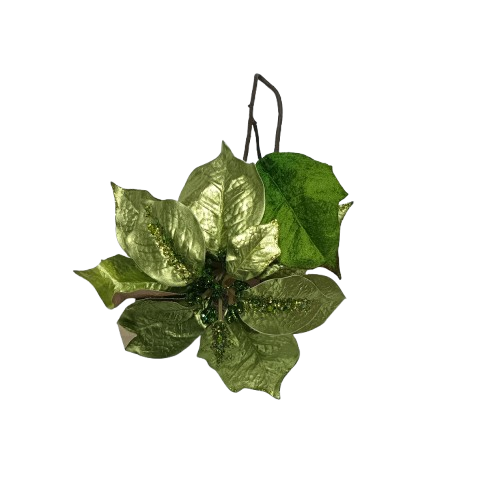 NAV. PASCUA VERDE