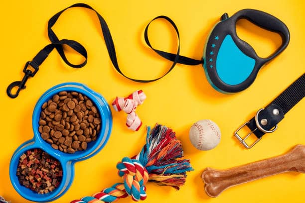 🐾 Guía Completa de Accesorios para Mascotas: Cómo Elegir lo Mejor para Ellos