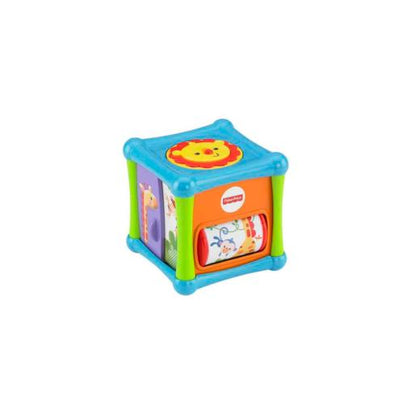 FP ANIMAL ACTIVITY CUBE