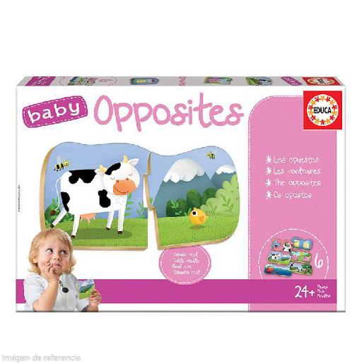 2-PIECE ASSORTED PUZZLE