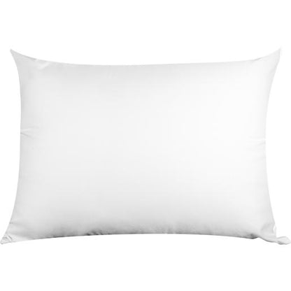 SET DE 2 ALMOHADAS ESTANDAR BUEN DIA
