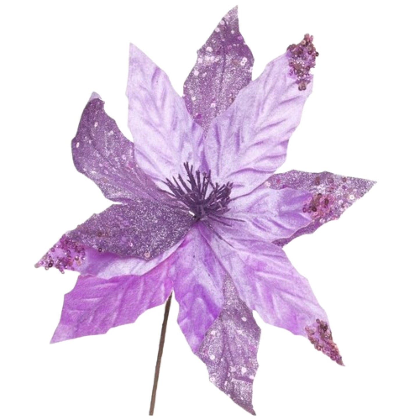 NAV. FLOR 41CM MORADO BRILLO