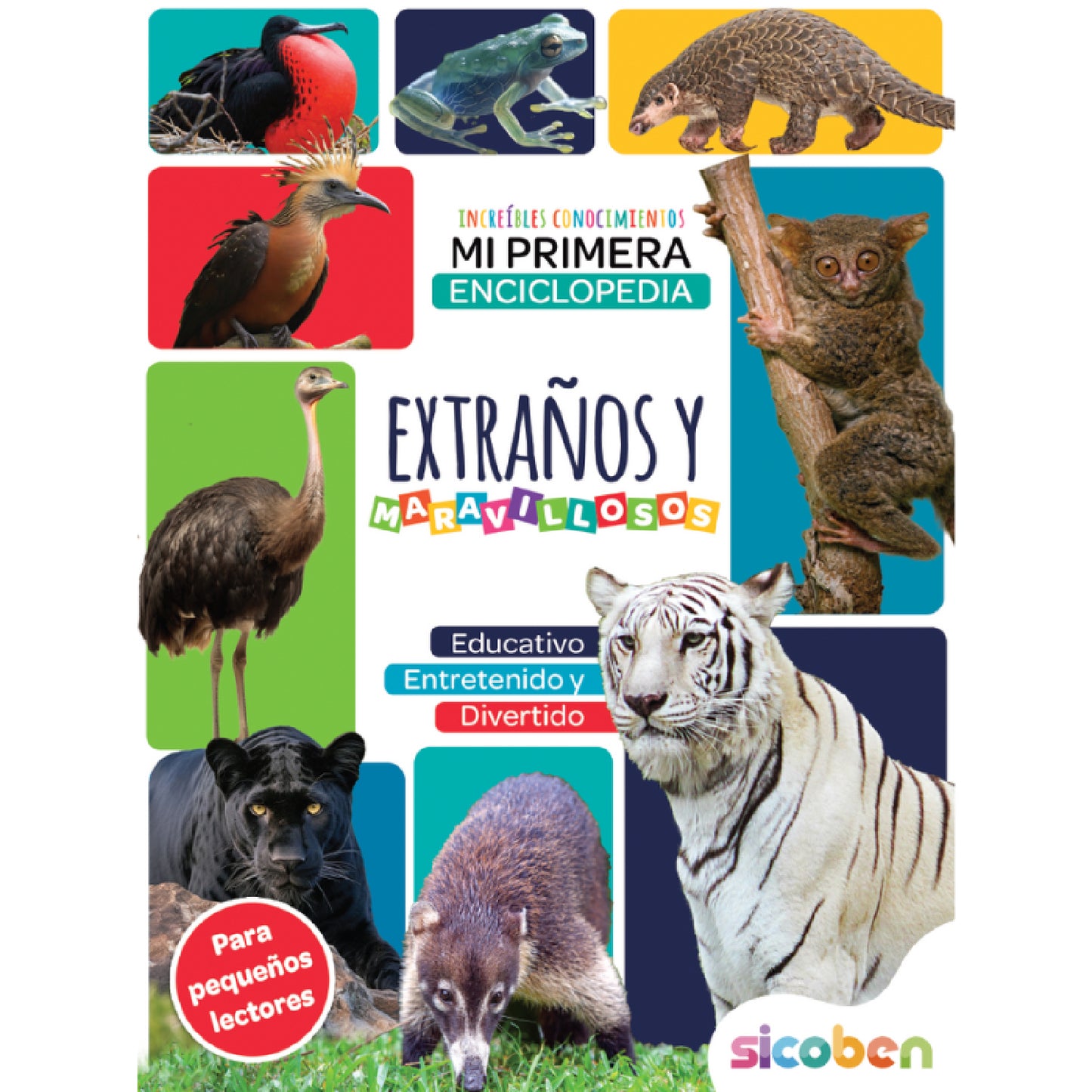 BOOK LEARN INCREDIBLE KNOWLEDGE S