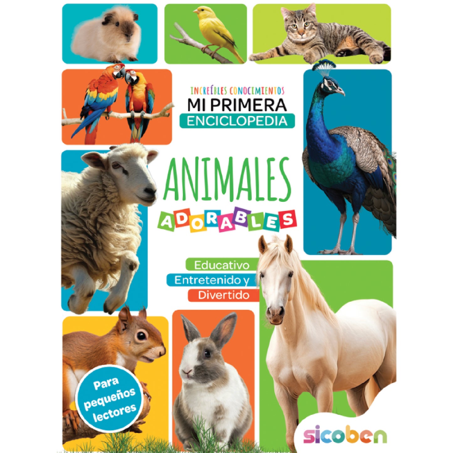 BOOK LEARN INCREDIBLE KNOWLEDGE S