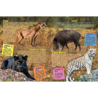 BOOK LEARN INCREDIBLE KNOWLEDGE S