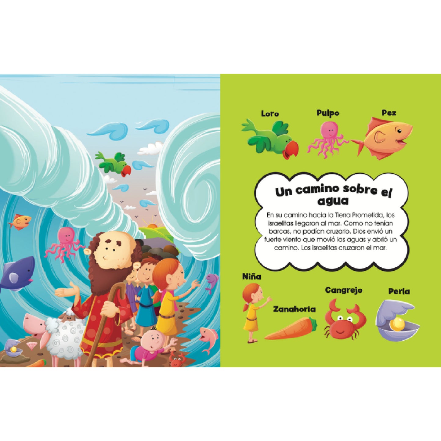 LIBRO LECTURA CUENTOS DE LA BIBLIA