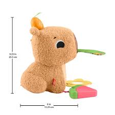 FP CAPIBARA ESTIMULOS Y JUEGO