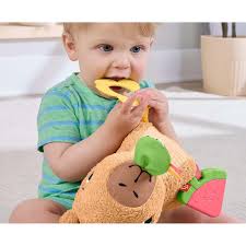 FP CAPIBARA ESTIMULOS Y JUEGO