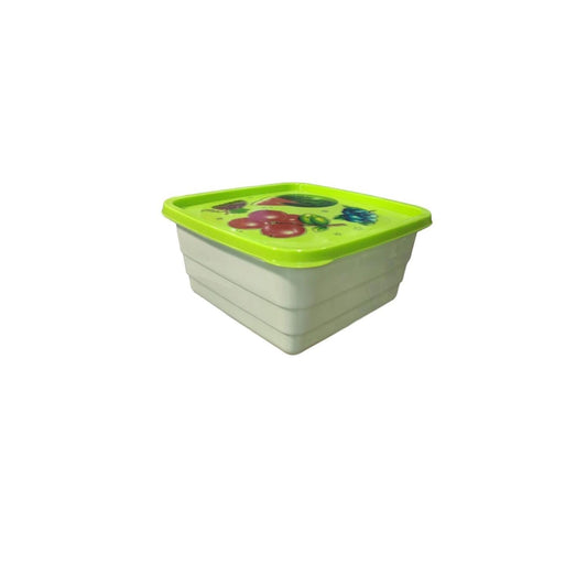 CONTAINER WITH RECTANG LID 19.5X9.2 BL/RS
