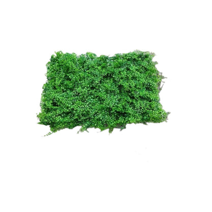 Artificial grass carpet 40*60cm