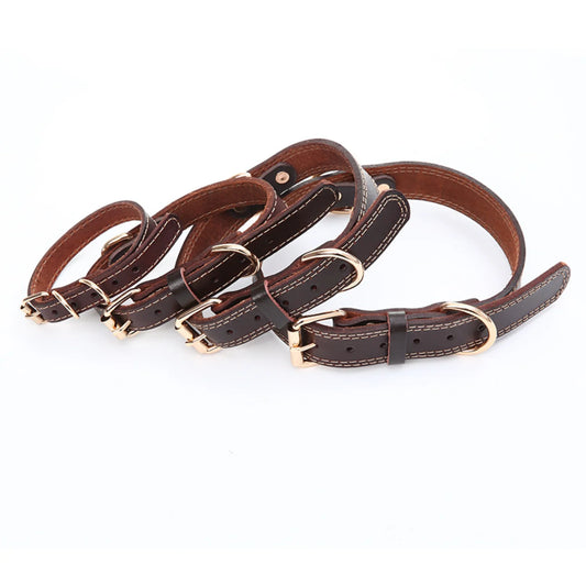 Pet Collar Size S QGC-049