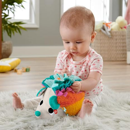 Erizo de Estímulos y Juego Fisher-Price HBP42