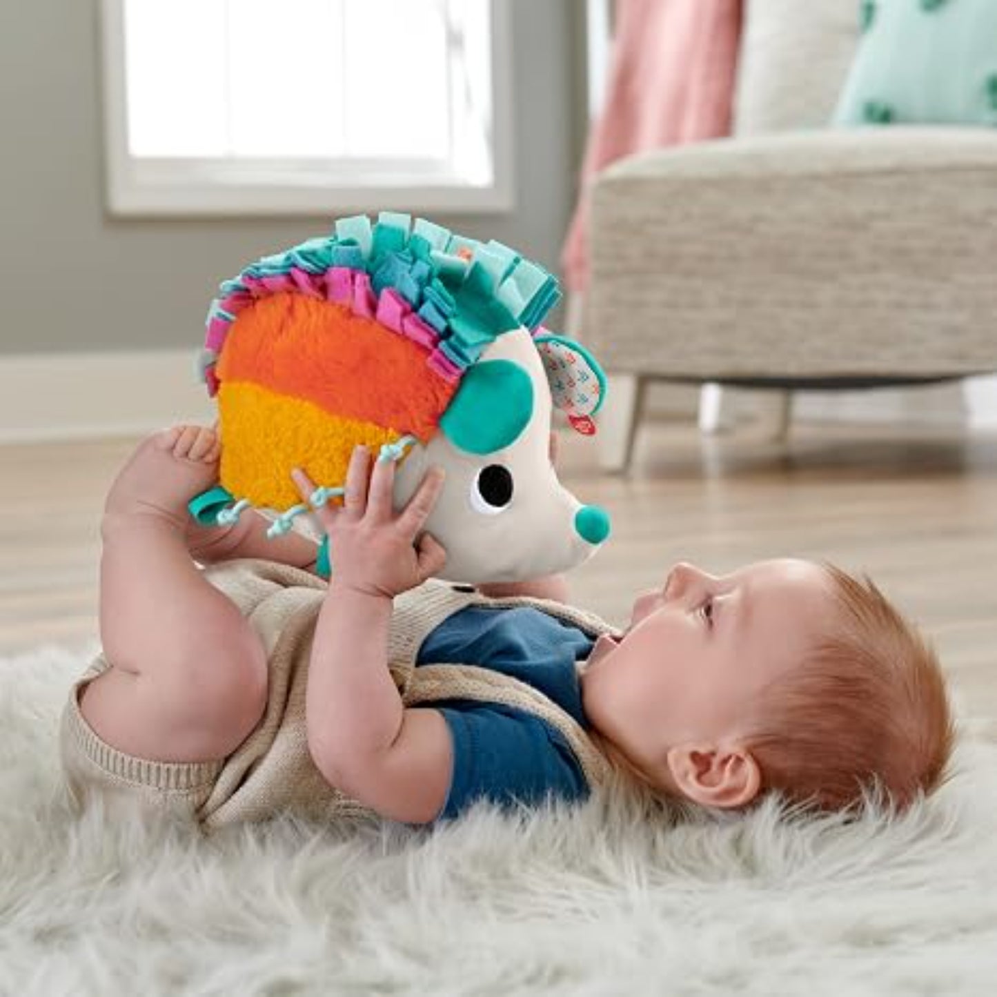 Erizo de Estímulos y Juego Fisher-Price HBP42