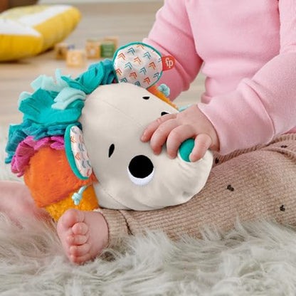Erizo de Estímulos y Juego Fisher-Price HBP42