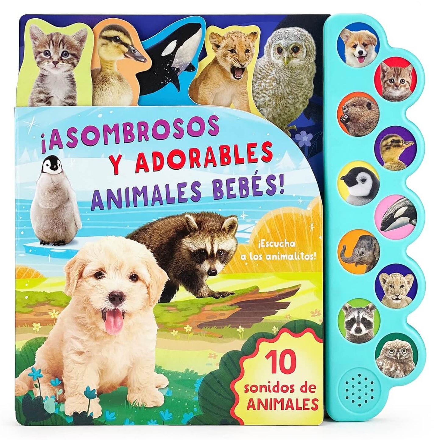 Libro Infantil Escucha: Sonidos Adorables Bebés Animales - Edición Interactiva con Sonido (9781646386628)