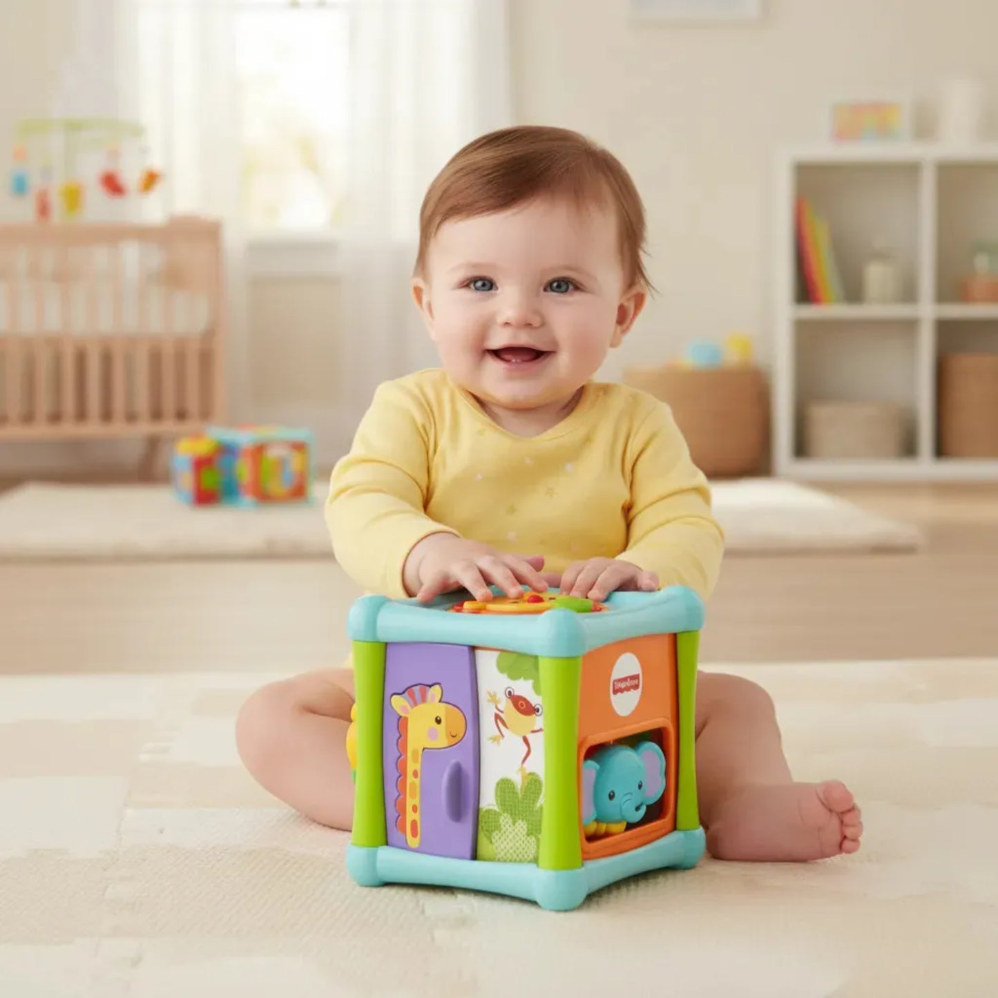 FP ANIMAL ACTIVITY CUBE
