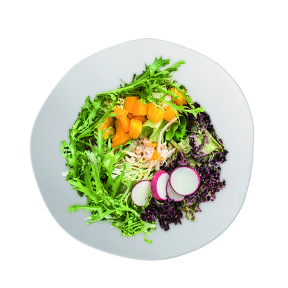 Plato Cerámico Blanco 13 Pulgadas (HJ24726W)