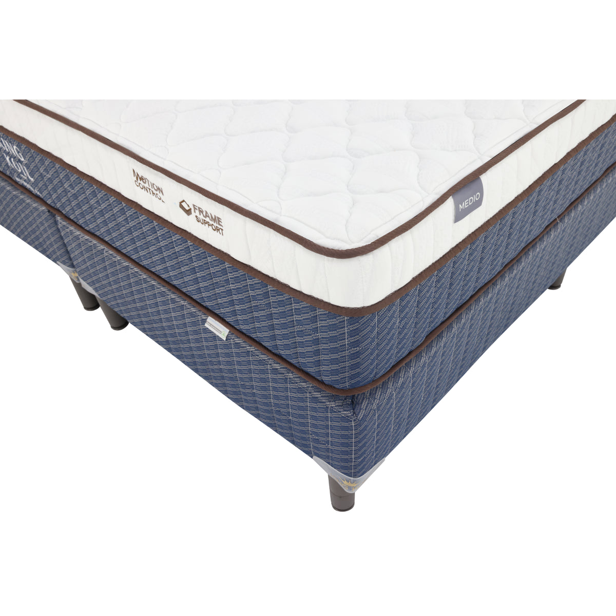 CAMA KING STUDIO COLLECT