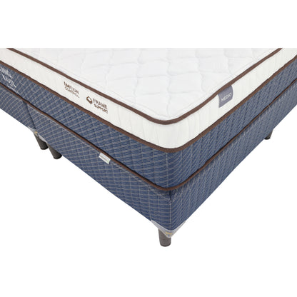 CAMA KING STUDIO COLLECT