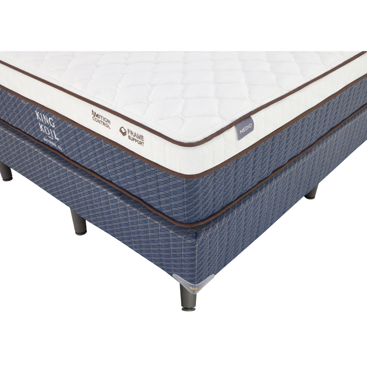 CAMA QUEEN STUDIO COLLECT