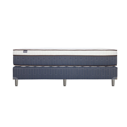 CAMA QUEEN STUDIO COLLECT