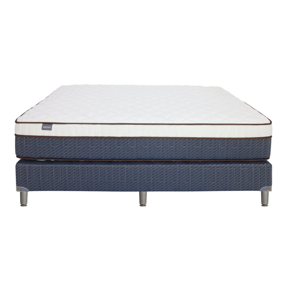 CAMA QUEEN STUDIO COLLECT