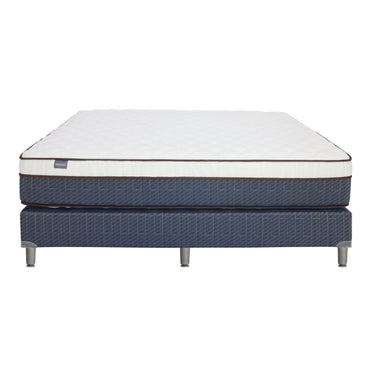 CAMA QUEEN STUDIO COLLECT