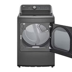 SECADORA 25KG SMART SENSORDRY NEGRA