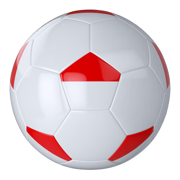 BALON DE FUTBOL N5 CLASICO RJ
