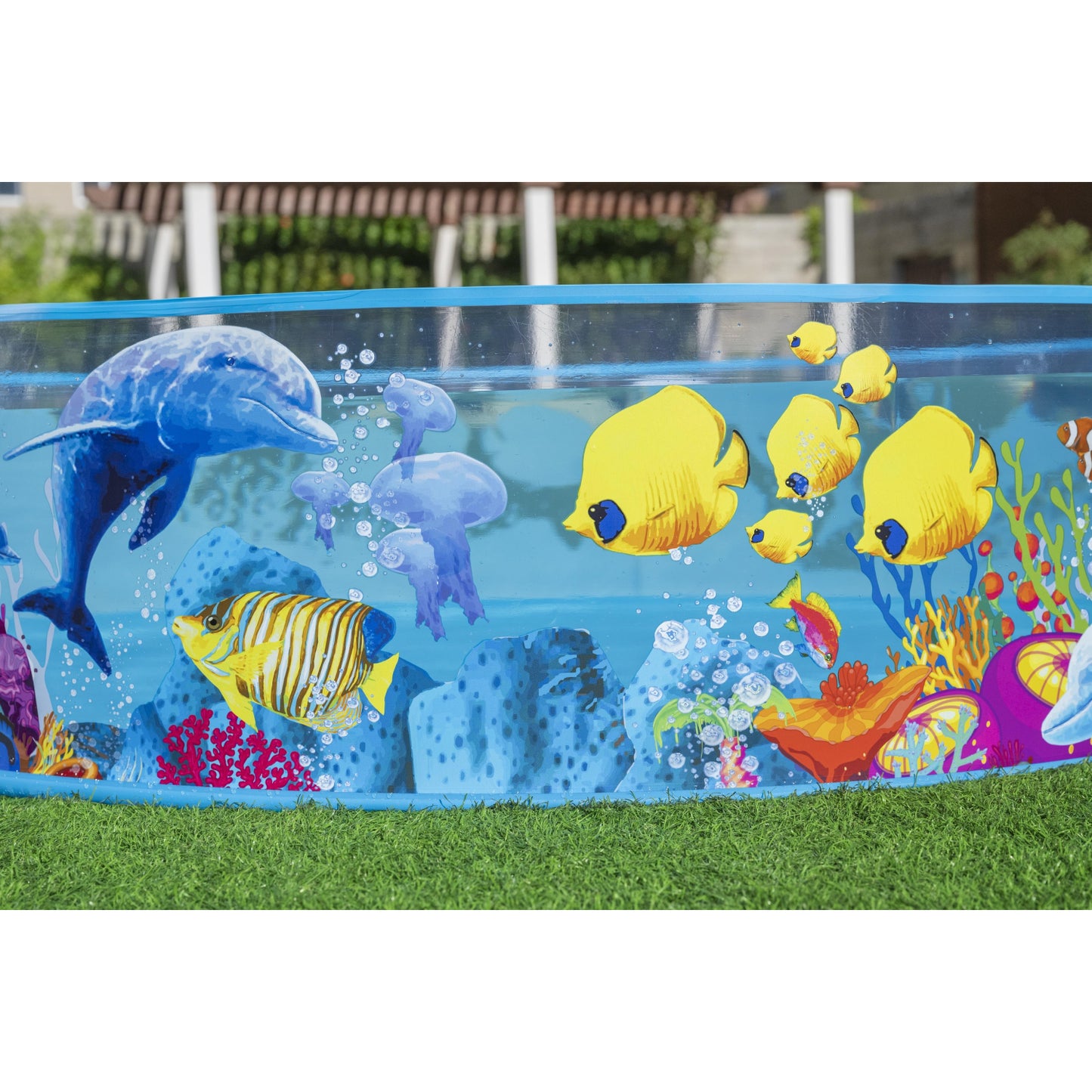 piscina redonda infantil diseños marinos, color azul con peces y corales