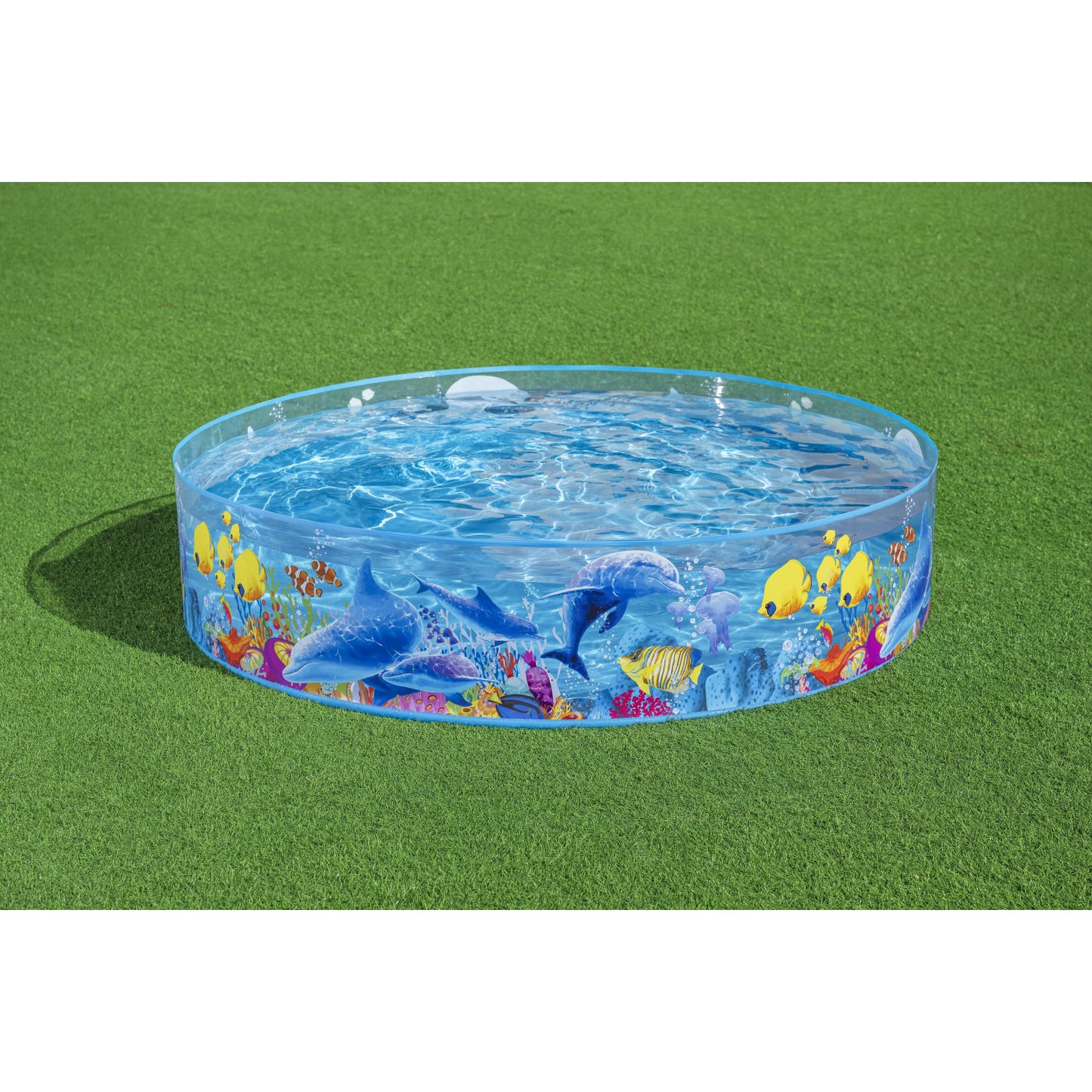 Piscina redonda infantil diseños marinos, vista lateral en césped verde