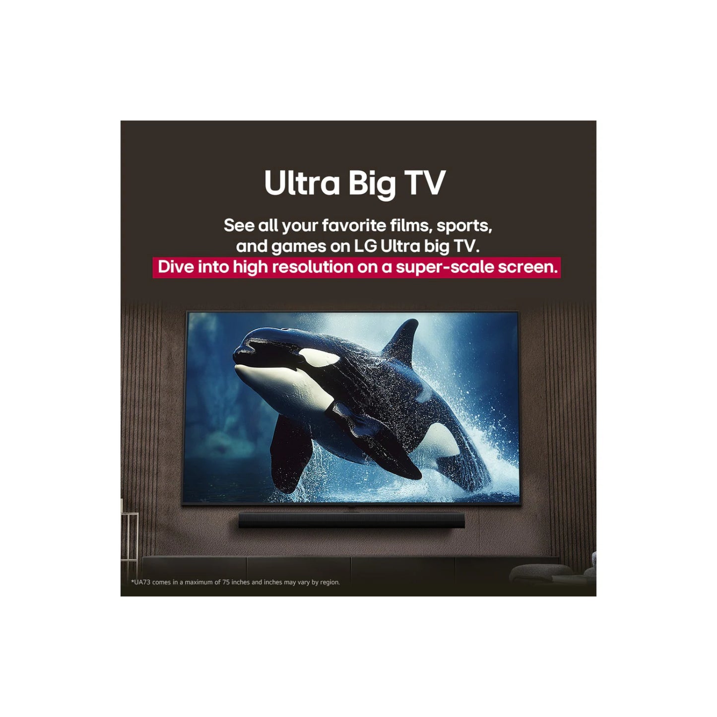 Televisor LG 55 pulgadas 4K mostrando imagen de orca nadando en alta resolución
