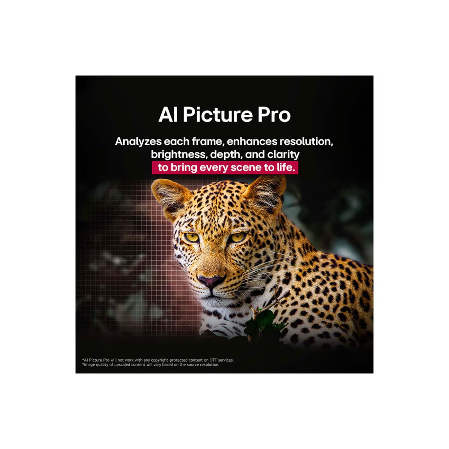 Análisis del sistema AI Picture Pro en TV LG OLED 65 pulgadas 4K UHD con resolución mejorada