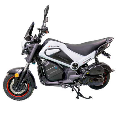 MOTOCICLETA FORZA FZ150A GRIS