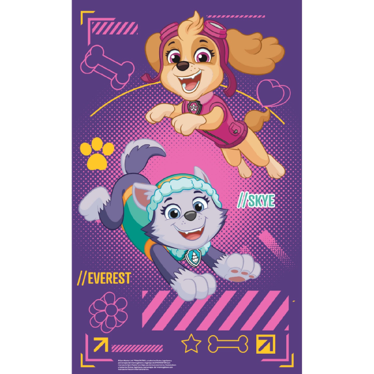 libro para colorear con Skye y Everest de Paw Patrol, divertido diseño para niños