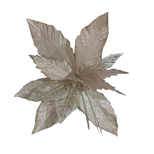 NAV. FLOR 32CM CHAMPAGNE TEXTU.