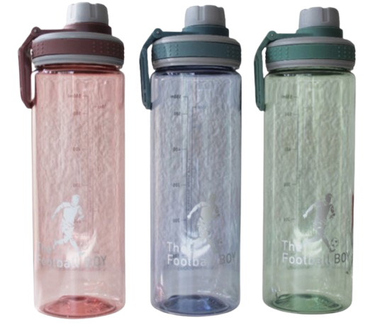 BOTTLE FOR WATER 650ML ASSORTED