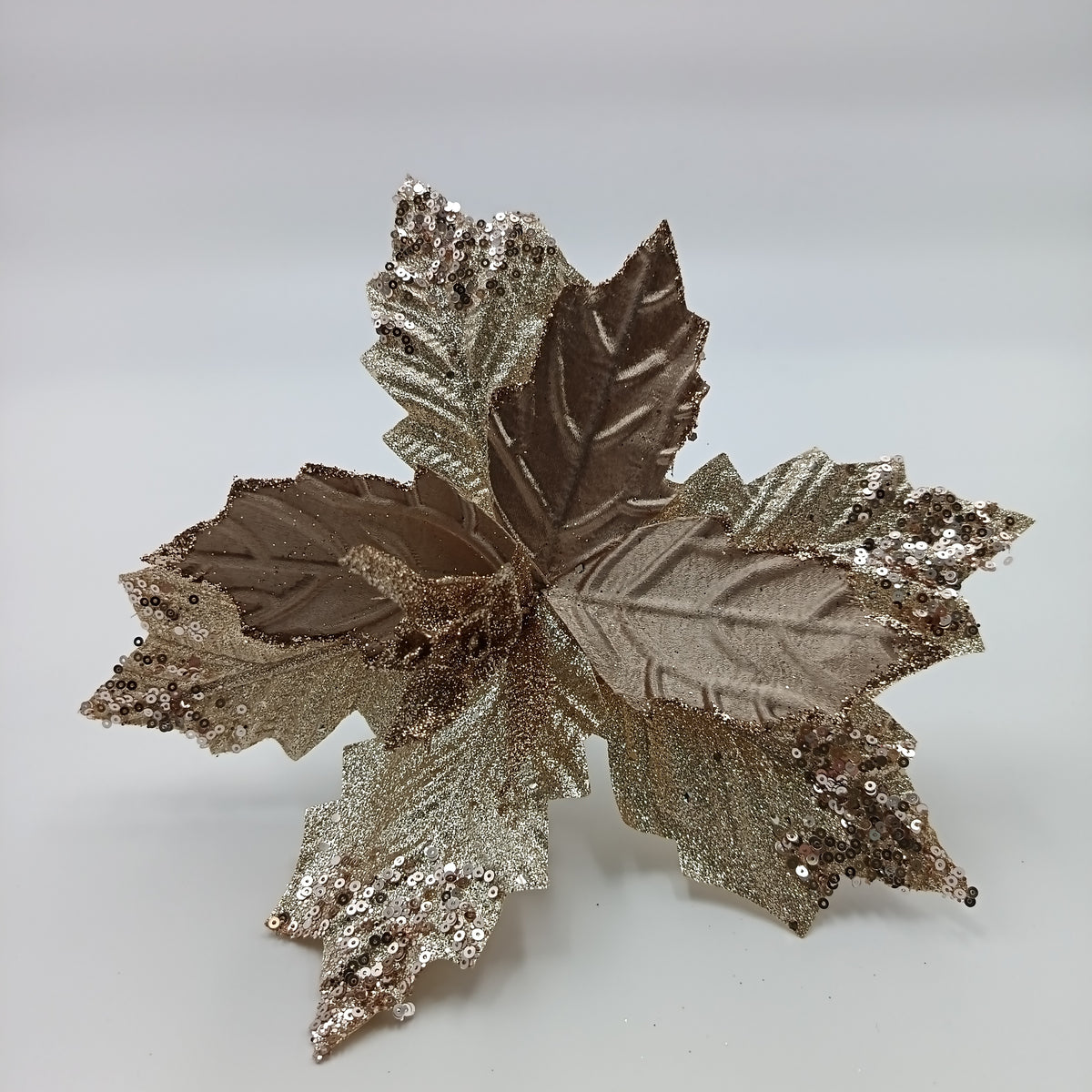 NAV. FLOR 29CM CHAMPAGNE T/PASCUA
