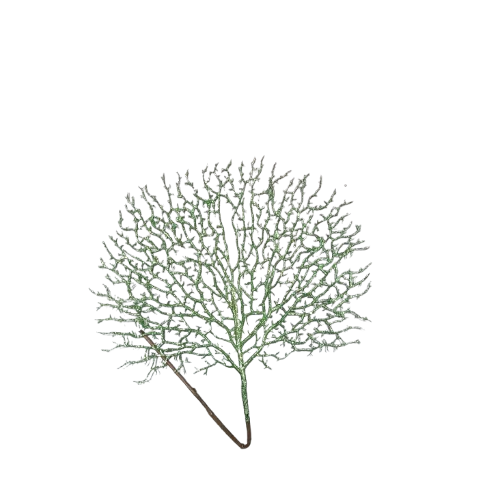 NAV. RAMA 62CM VERDE T/COLA PAVO